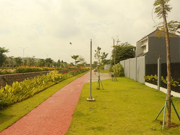 portfolio img